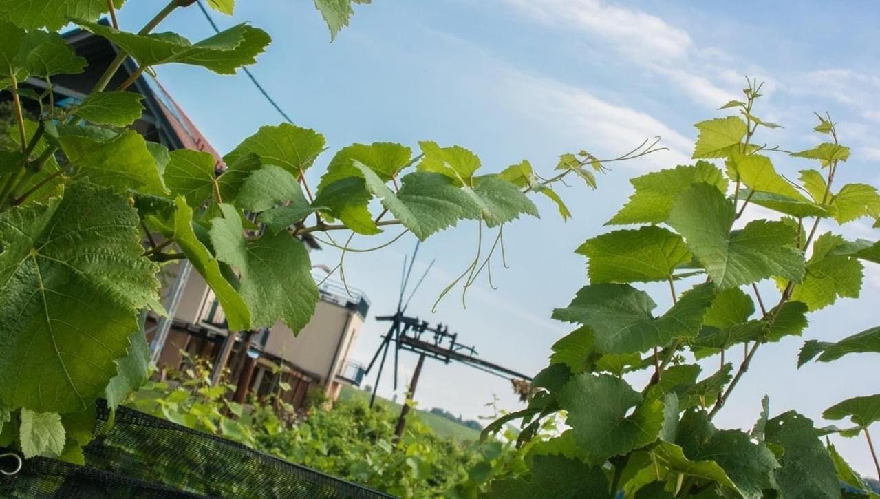 Zweytick Gaestezimmer Weingut Ratsch an der Weinstrasse Exterior foto
