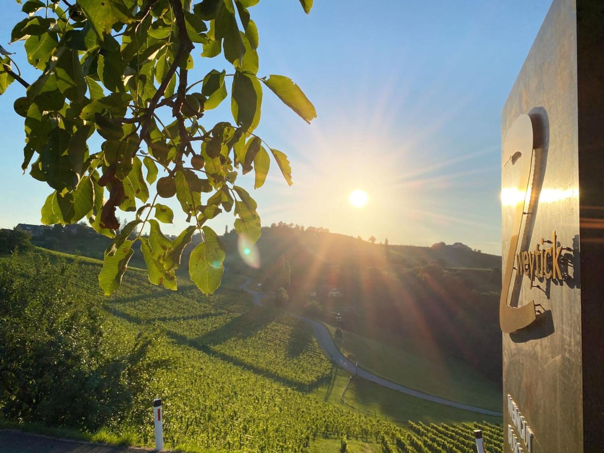 Zweytick Gaestezimmer Weingut Ratsch an der Weinstrasse Exterior foto