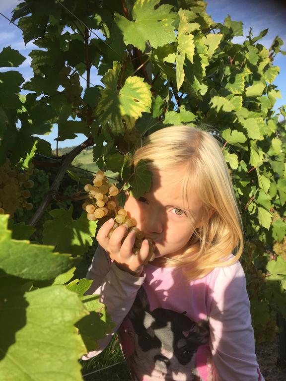 Zweytick Gaestezimmer Weingut Ratsch an der Weinstrasse Exterior foto